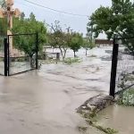 Several areas hit by flooding in Romania after two days of heavy rain