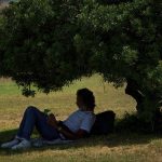 Climate shelters: when the heat is on, where can you escape to?