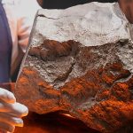 Largest Martian meteorite fetches over €4.3 million at auction – but young dinosaur steals the show