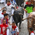 Four injured in final bull run of San Fermín Festival in Pamplona