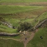 Two men who felled iconic Sycamore Gap tree on UK’s Roman Wall jailed for four years