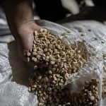 Iraq says tip-off to Lebanon led to destruction of amphetamine factory