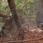Helicopter crashes in Ghana killing defence and environment ministers and six others on board