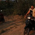 Fires in Greece: helping the animals