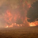 Record amount of wildfire destruction marks dark year for Europe