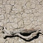 How flash droughts driven by climate change sparked record wildfires in Spain