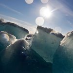 ‘Temporary reprieve’: Why is Arctic Sea ice melting more slowly despite global warming?