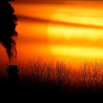 EU decision on 2040 climate target to be delayed, diplomats say