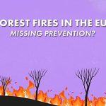 Is the EU failing to prevent forest fires?