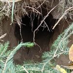 Poland not an isolated case: What to know about secret migrant tunnel systems
