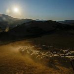 European Commission comes up with plan to get more young people into farming