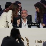 COP30: New climate deal reached in Brazil, but still no fossil fuel roadmap