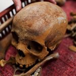 ‘Truly rare’: Archaeologists uncover 1,700-year-old Roman tomb in Budapest