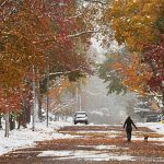 First snow of the season: Record cold hits southeastern US as 18 million under freeze warning