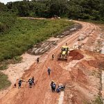 European Parliament backs simplification of EU’s anti-deforestation rules