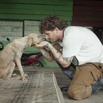 German influencer on New Year’s fireworks: ‘We’re collectively causing animal suffering’