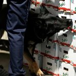 EU to fight drug trafficking with drones and cutting-edge technologies