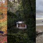 I spent a nearly silent weekend in a forest cabin in Sweden. Here’s what I learned