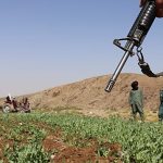 Afghan farmers suffer heavy losses after Taliban ban opium poppy cultivation, report says