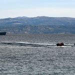 Greece rescues 545 migrants off Gavdos as Libya route sees surge in crossings