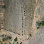 Thousands of dinosaur footprints discovered on rock faces in northern Italy