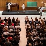 UK to rejoin EU’s Erasmus+ student mobility fund in 2027