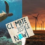 From historic rulings to the green energy boom: Here are the climate wins of 2025 worth celebrating