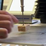 Lab-grown proteins for a hungry world – made in Europe