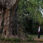 Gardening for life: Ildikó Enyedi’s new film Silent Friend examines ties between people and plants