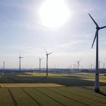 ‘We need competitive bidding systems for clean power,’ wind industry leader tells Euronews