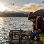 Scotland protects more than a third of its seas. Why is trawling still allowed?