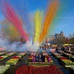 Dutch National Tulip Day: 200,000 tulips handed out in Amsterdam