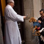 Dogs and cats blessed with holy water in Madrid