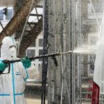 Foot-and-mouth disease: Emergency measures in Cyprus amid livestock farmers’ despair