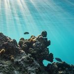 Tiny island’s climate reparations proposal labelled ‘major threat’ to US industry