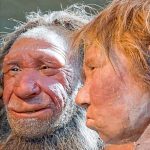 The mating game: New DNA study shows female humans often interbred with Neanderthal males