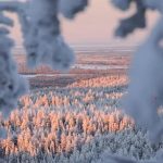 London, Berlin, Riga: AirBaltic expands winter schedule with new direct flights to Finnish Lapland