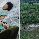 ‘Hope for Indigenous peoples’: An unexpected birth could bring this Amazon tribe back from the brink