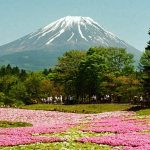 Japan tourism is booming as travellers look beyond Tokyo and Kyoto