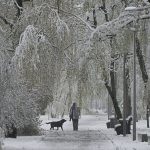 Rare spring snowstorm hits Moscow