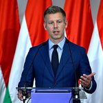 Hungary’s incoming PM Péter Magyar offers to meet Ukraine’s president in June