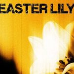 ‘Easter Lily’: U2 surprise drop new EP to mark Good Friday