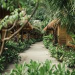 All the sustainable travel habits tourists are adopting in 2026