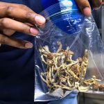 Trump signs order to fast-track research on psychedelic drugs