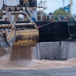 Ukraine summons Israel’s ambassador over allegedly stolen grain being shipped to Haifa