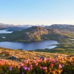 From the white kingdom to the green land of the midnight sun: Finland, Europe’s top summer destination