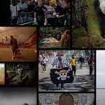 World Press Photo 2026: Fires, conflict and migration mark prestigious annual award