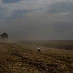Kyiv slams Egypt for accepting Russian‑shipped grain stolen from Ukraine