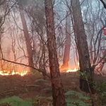 Tuscany, flames out of control on Monte Faeta: 800 hectares burnt, 3,000 evacuated