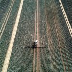 EU to turn carbon tax revenues into farm subsidies amid fertiliser crisis, leaked document shows